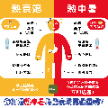 熱衰竭 vs 熱中暑